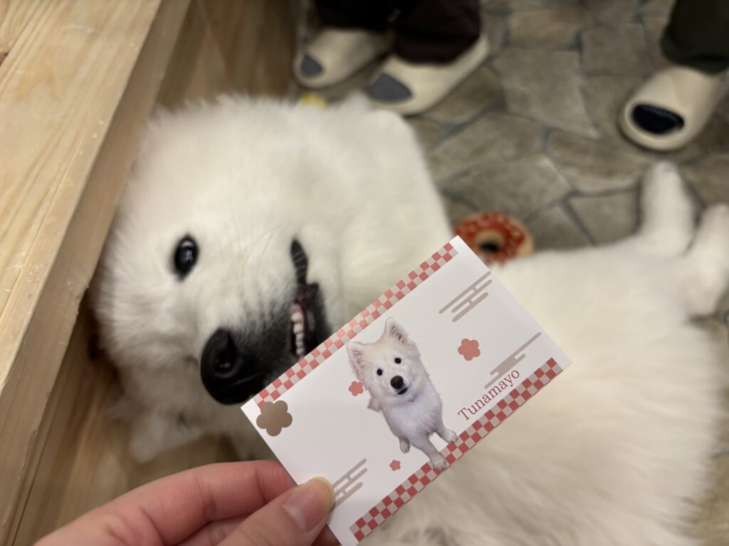 サモエドカフェモフ 竹下通り